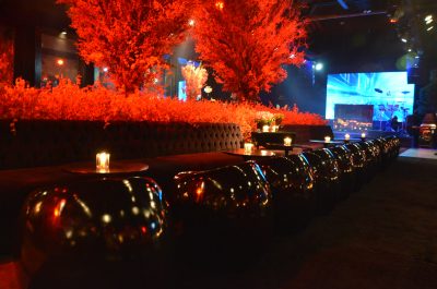 Festa de quinze anos em Curitiba